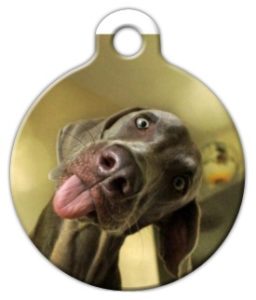 46094-02042014-2256-custom-dog-tag-weimaraner3