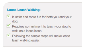 loose leash